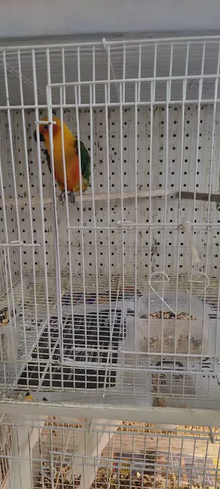 The Bird Spot Picture 8