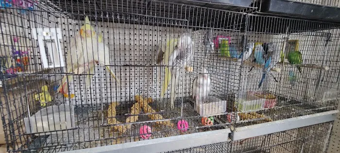 The Bird Spot Picture 9