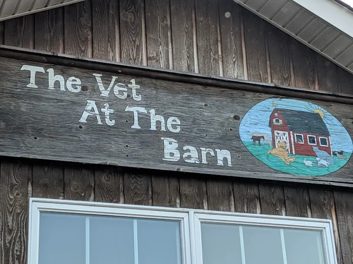 Vet At the Barn Picture 6