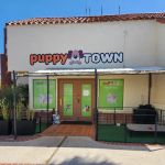 Puppy Town