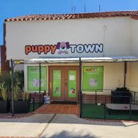 Puppy Town ico