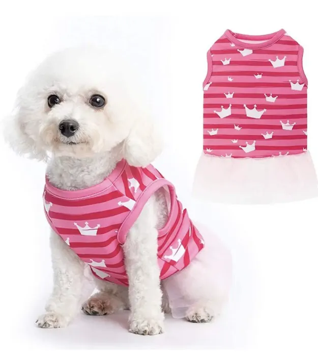 Coco’s Natural Pet Supply & Boutique Picture 6