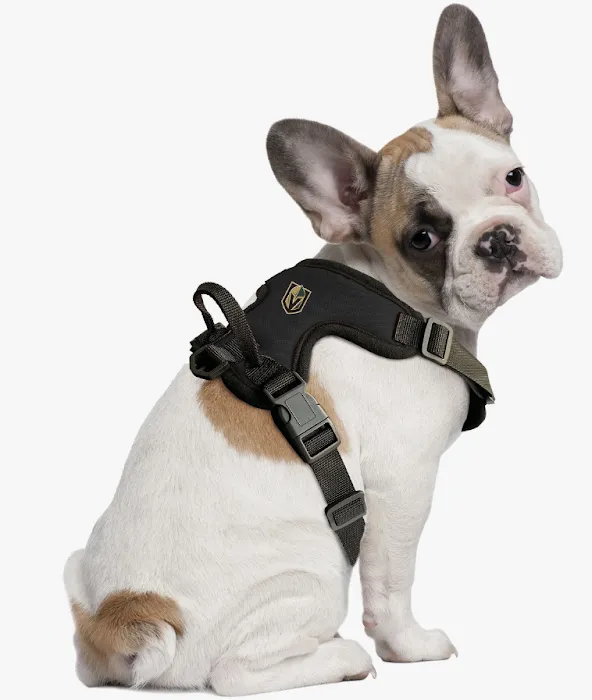 Coco’s Natural Pet Supply & Boutique Picture 8