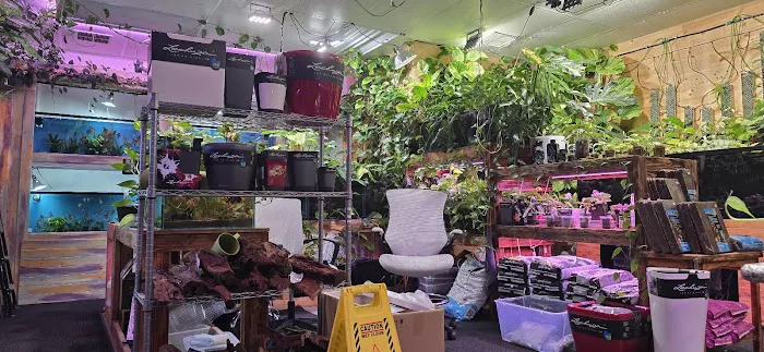 Mike & Miguel's Fish and Plant Store Picture 1