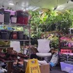 Mike & Miguel's Fish and Plant Store