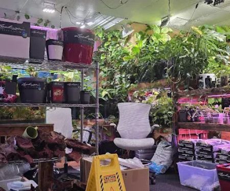 Mike & Miguel's Fish and Plant Store