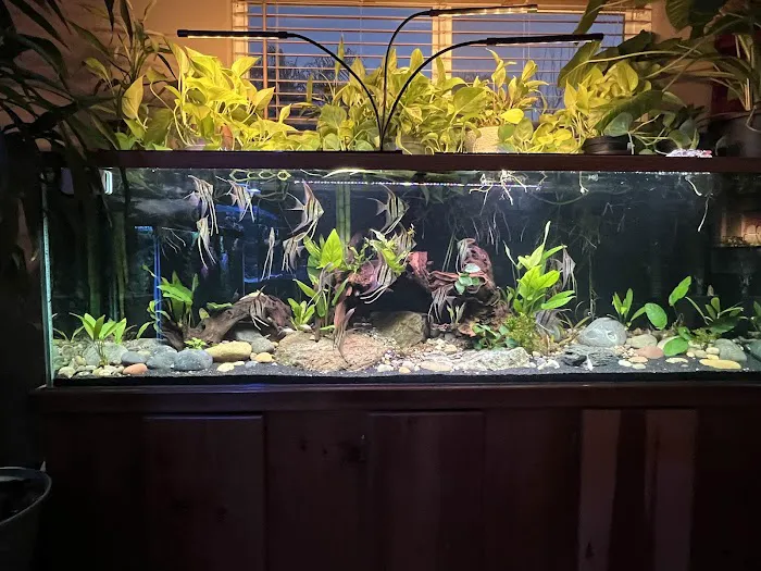 Mike & Miguel's Fish and Plant Store Picture 2