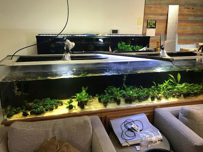 Mike & Miguel's Fish and Plant Store Picture 6