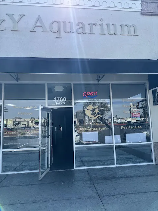 J&Y Aquarium Picture 2