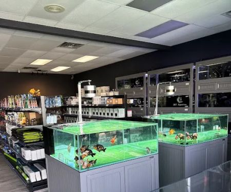 J&Y Aquarium