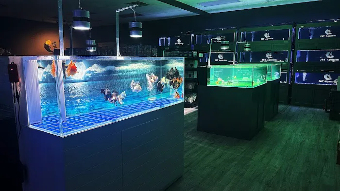 J&Y Aquarium Picture 5