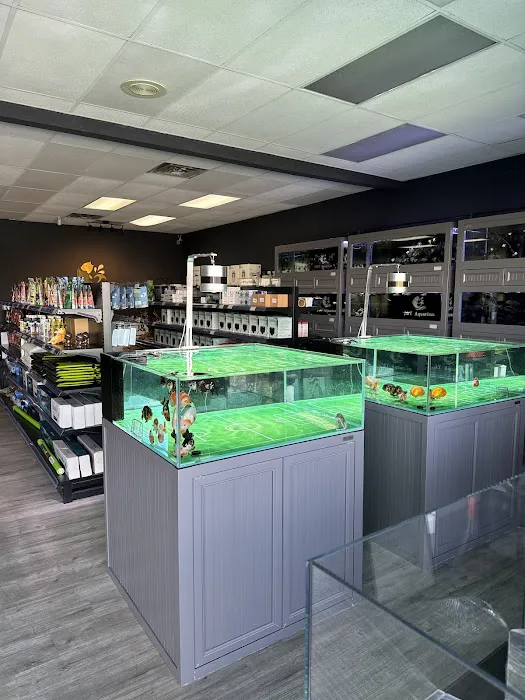 J&Y Aquarium Picture 4