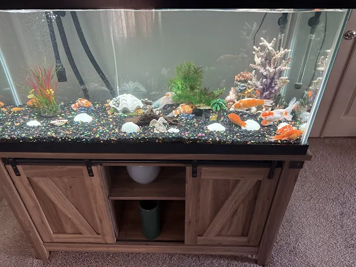 J&Y Aquarium Picture 10