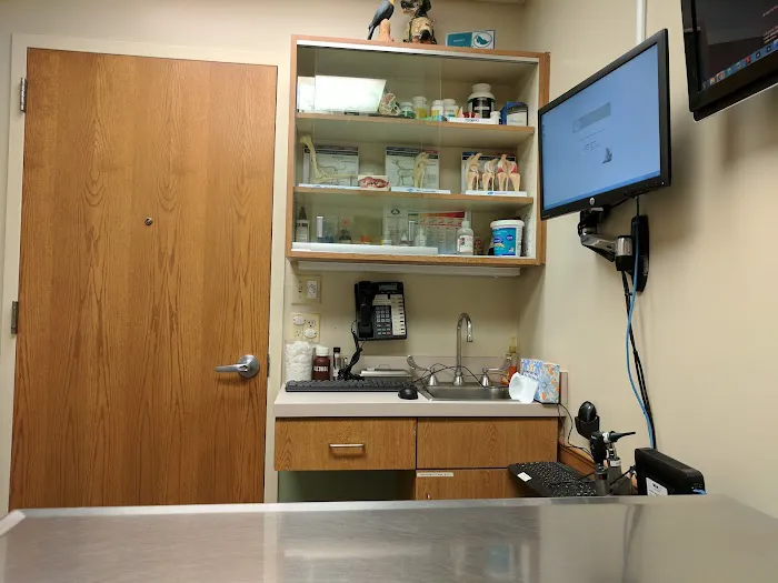 VCA Ridgewood Veterinary Hospital Picture 2