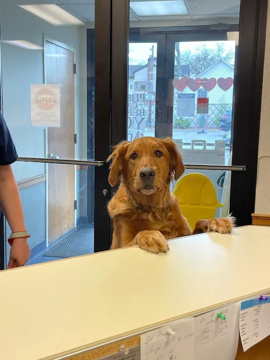 VCA Ridgewood Veterinary Hospital Picture 10