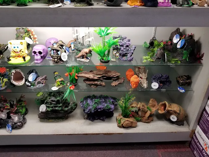 Trop Aquarium Picture 2