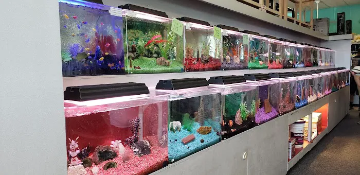 Trop Aquarium Picture 6