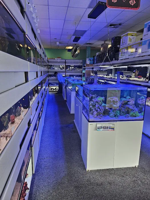 Trop Aquarium Picture 5