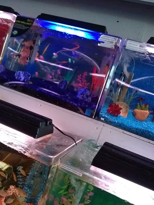 Trop Aquarium Picture 9