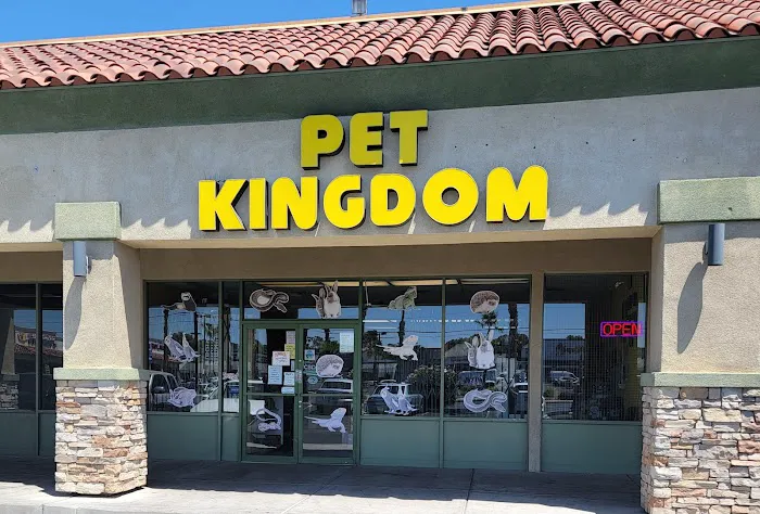 Pet Kingdom Picture 6