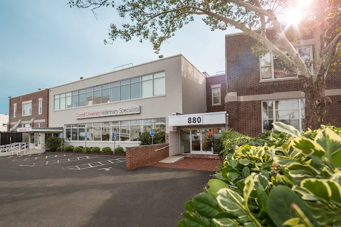 Cornell University Veterinary Specialists Picture 6