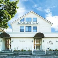 Bull's Head Pet Hospital ico