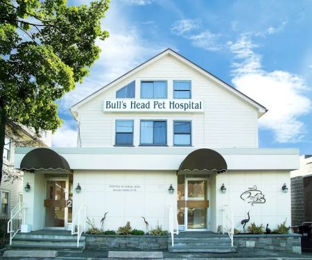Bull's Head Pet Hospital