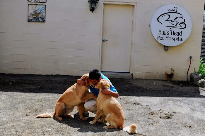 Bull's Head Pet Hospital Picture 8