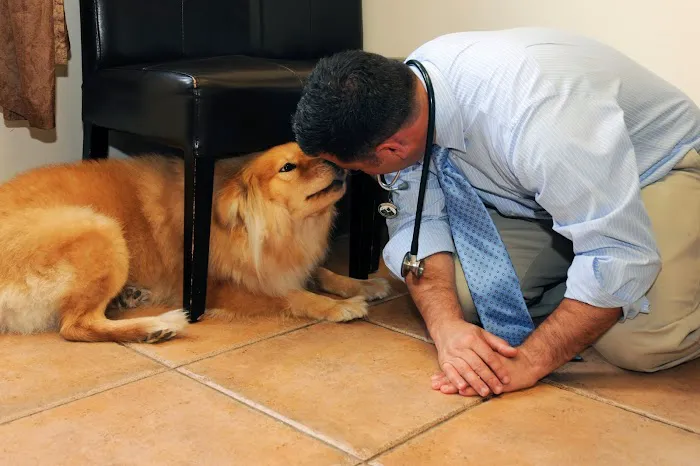 Bull's Head Pet Hospital Picture 10