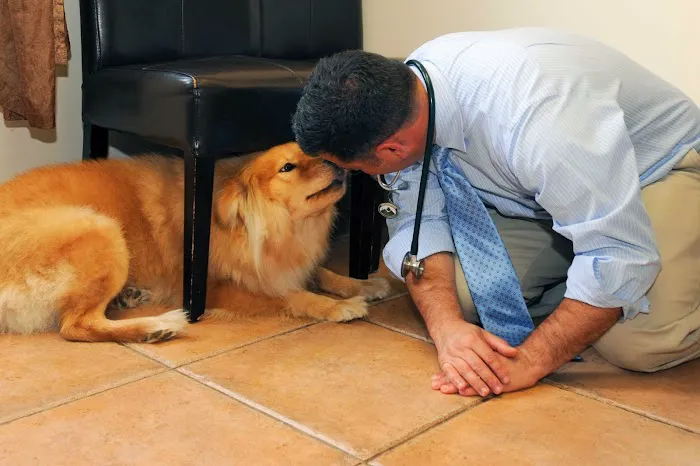 Bull's Head Pet Hospital Picture 9