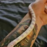 Scales 'N Tails Las Vegas #2