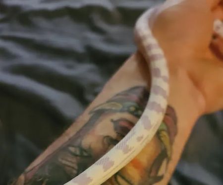 Scales 'N Tails Las Vegas #2