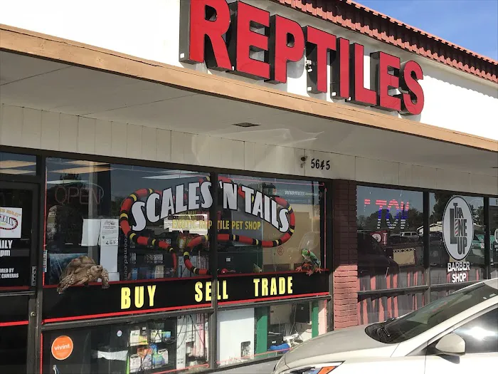 Scales 'N Tails Las Vegas #2 Picture 6