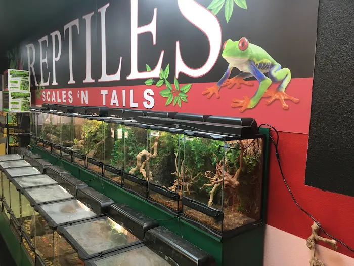Scales 'N Tails Las Vegas #2 Picture 7