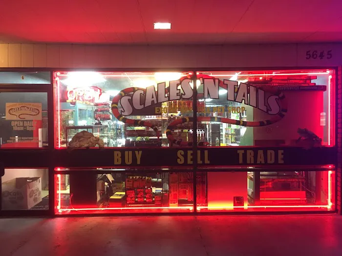 Scales 'N Tails Las Vegas #2 Picture 2