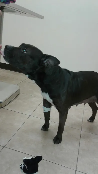 Stamford Veterinary Center Picture 3
