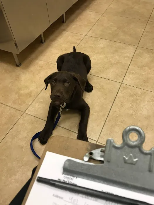 Stamford Veterinary Center Picture 6