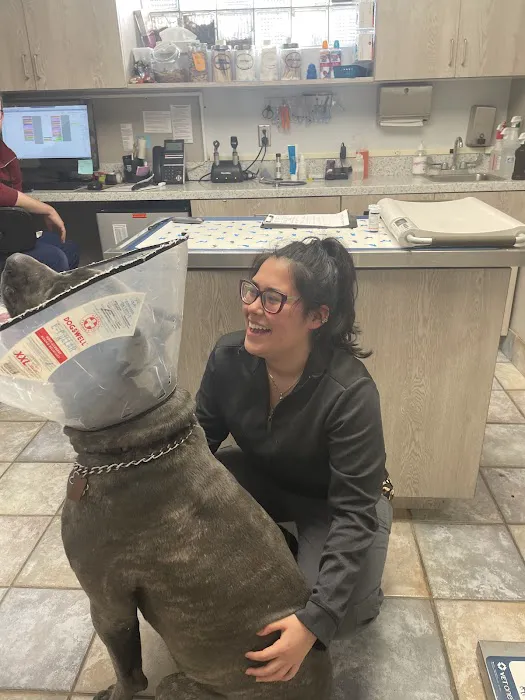 Rippowam Animal Hospital Picture 8