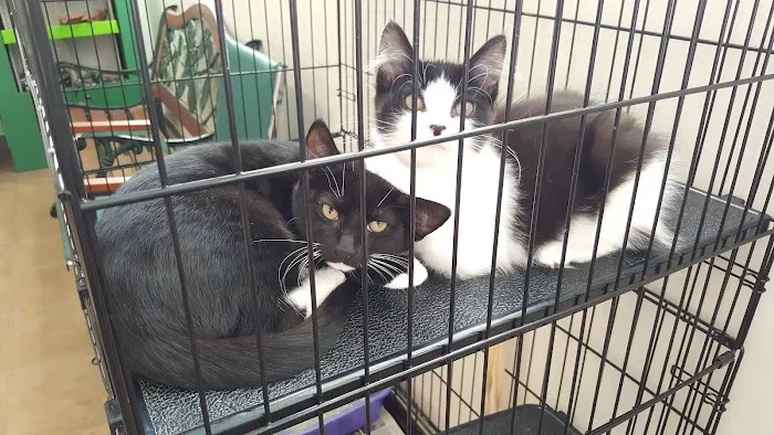 Spring Valley Animal Hospital Picture 1
