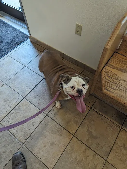Rockland Veterinary Care - Hudson Valley Picture 1
