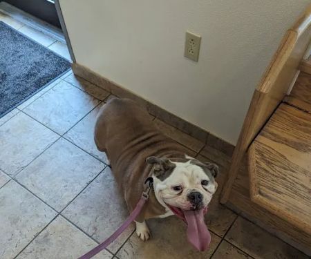 Rockland Veterinary Care - Hudson Valley