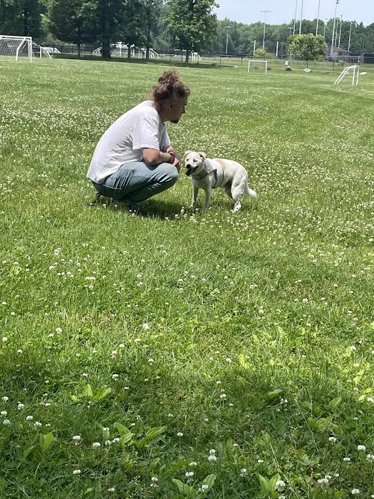 Rockland Veterinary Care - Hudson Valley Picture 7