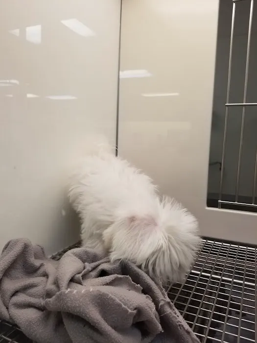 Petland Las Vegas Picture 1