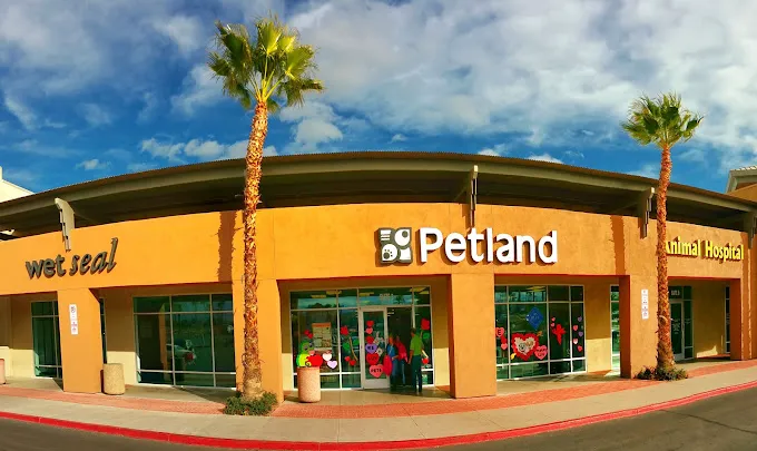 Petland Las Vegas Picture 7