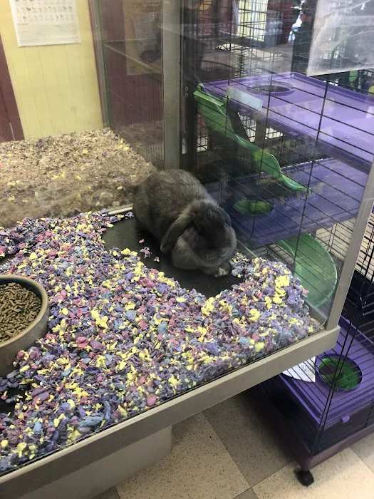 Petland Las Vegas Picture 10
