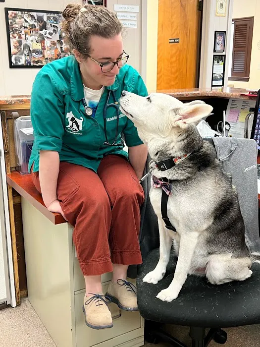 County Animal Hospital Picture 7