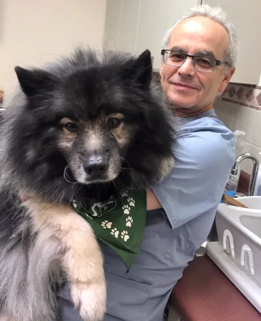 County Animal Hospital Picture 3