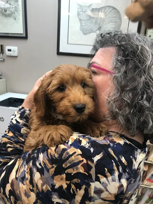 County Animal Hospital Picture 9
