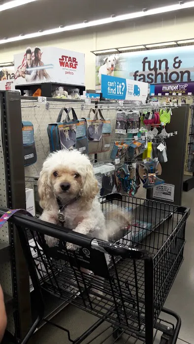 Petco Picture 4
