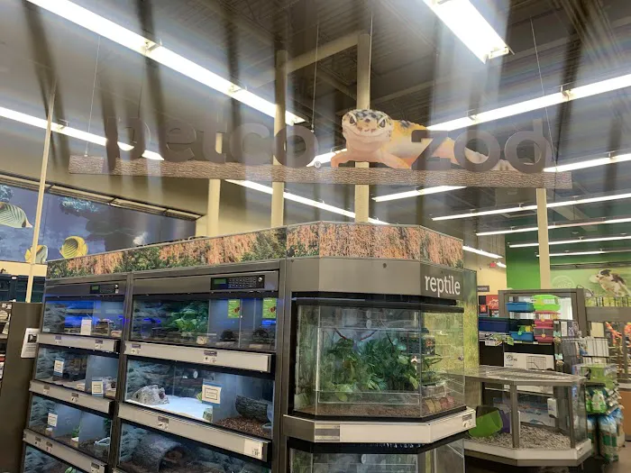 Petco Picture 2